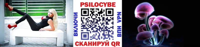 Купить где  Верхняя Тура  Псилоцибиновые грибы MAGIC MUSHROOMS 